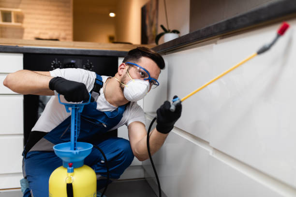 Best Ant Control Services  in St Georges, DE