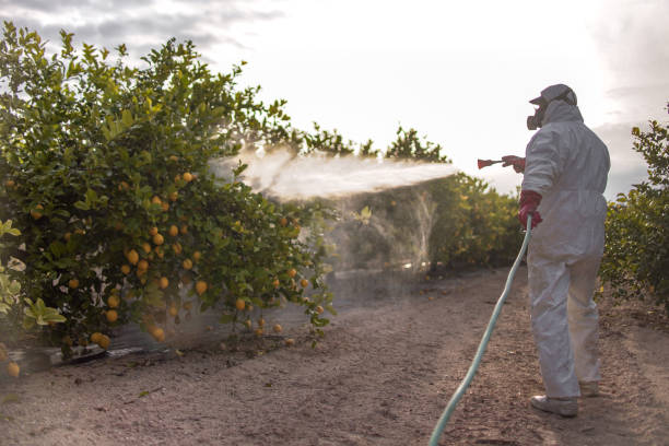 Best Insect Control  in St Georges, DE