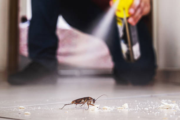 Best Pest Removal Services  in St Georges, DE