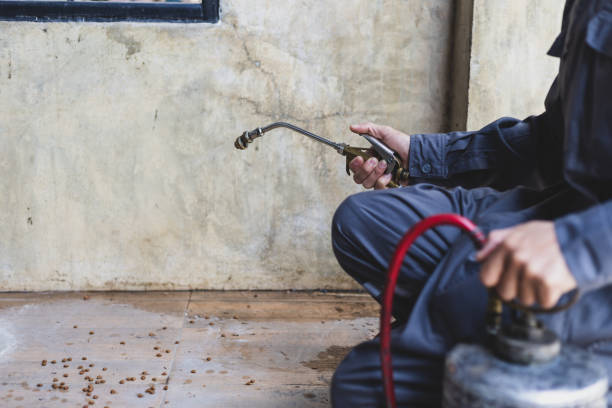 Best Termite Control Services  in St Georges, DE