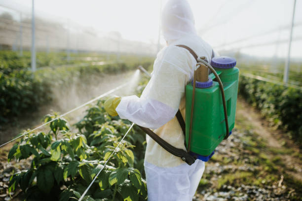  St Georges, DE Pest Control Pros